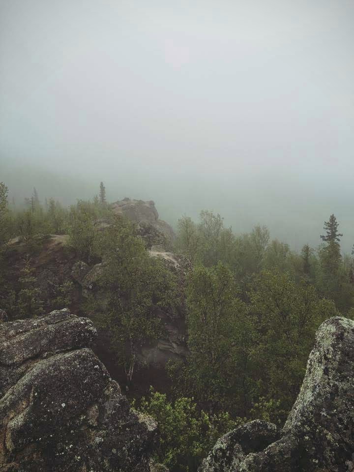 rocks and coniferous trees on the side of a mountain shrouded by mist and fog