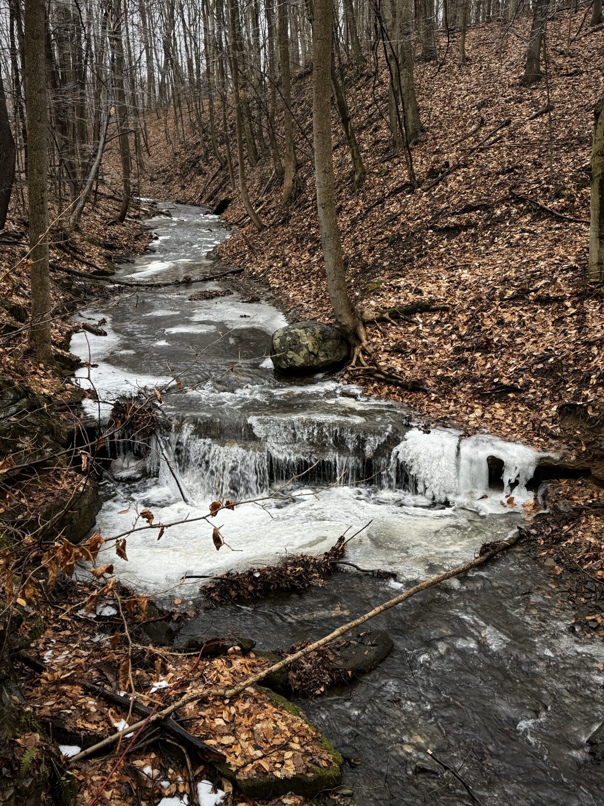 a creek in a forest ravine. there a small, partly frozen waterfall. 